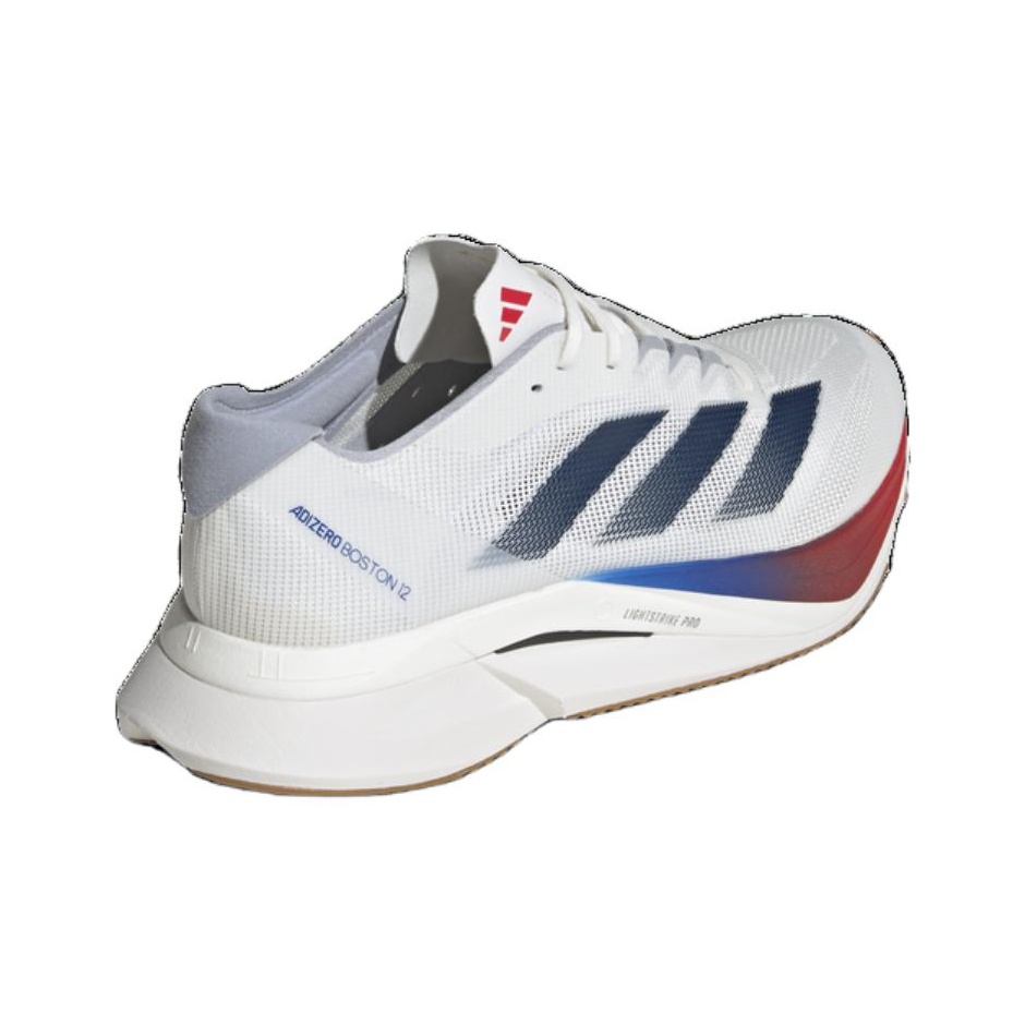 Adidas Adizero Boston 12 Scarp - Adidas Shoes Adizero Boston 12 recensione e prezzo